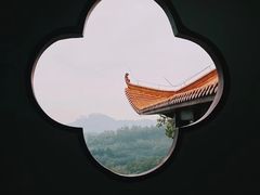 -深圳仙湖植物园