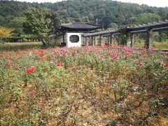 -龙寺生态园