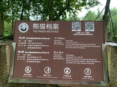 -都江堰中华大熊猫苑