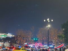 -石灰市毛记烧鸡公(解放碑店)