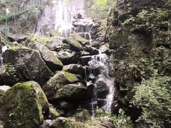 -藏龙百瀑风景区