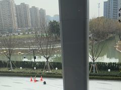 -玖五京菜(杭州城北万象城店)
