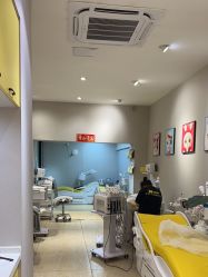 -洗脸猫·洗脸吧