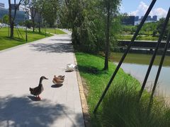 -深圳大学(丽湖校区)