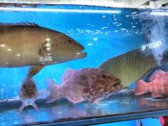 -钱塘府海鲜餐厅