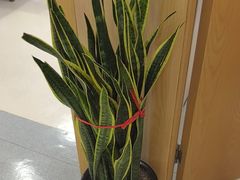 -上海广德中医门诊部