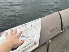 -星光大道