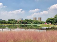 -映月湖公园