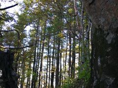 -白草畔自然风景区