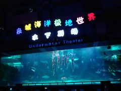 -泉城欧乐堡海洋极地世界