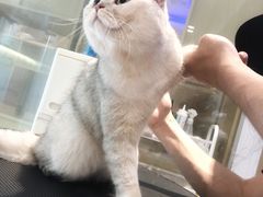 -Pets First伊珊娜洗护·精致美容·家庭式寄养(新会路店)