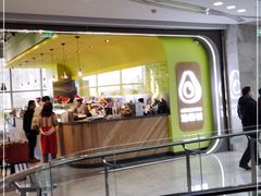 -油梨树AVOCADO TREE(望京店)
