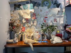 -Meowの猫咖(万家丽店)