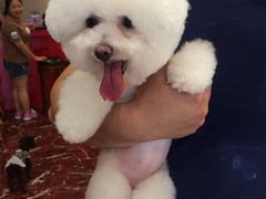 -多卡布奇宠物生活馆(上林世家店)