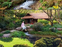 -中国茶叶博物馆(双峰馆区)