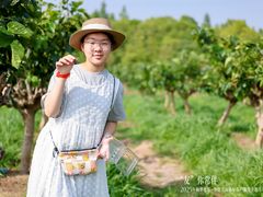 -上海德星奔驰(江杨南路店)