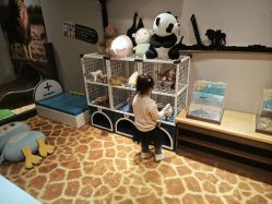 -卡通尼·Safari非洲探索乐园·生日会(金桥国际商业广场店)