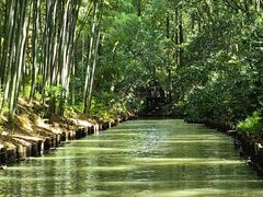 -同里国家湿地公园