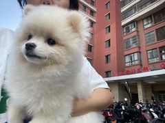 -宠颐生动物医院·小陆分院