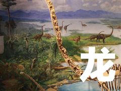 -自贡恐龙博物馆
