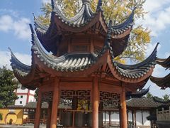 -上海东林寺(金山区)