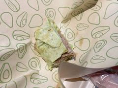 -油梨树AVOCADO TREE(顺义新国展店)