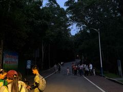 -火炉山森林公园