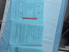 -半岛宠物医院24小时(白果林店)