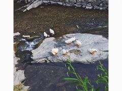 景观位-北京水岸山吧度假村(雁栖镇店)
