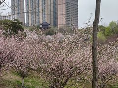 -堤角公园