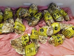 -胖大嫂渔家排档(半边山店)