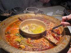 -新哥老官·畅吃123·美蛙世界(苏宁广场店)