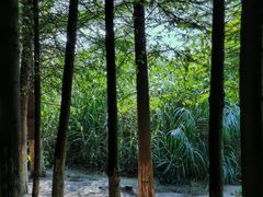 -金海湾滨江公园