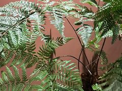-泰·菩提树下[泰式按摩x精油SPAx肩颈头疗](新景店)