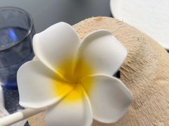 -三亚亚龙湾瑞吉酒店·宴悦Driftwood·游水海鲜·牛排·草坪·私人定制
