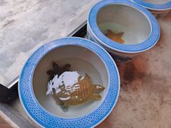 -李久其家民间餐厅(梅溪湖店)