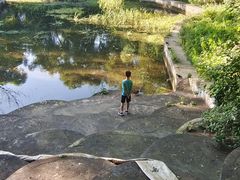 -黑龙江省森林植物园