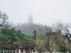 -焦山风景区