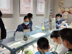 -钟薛高(南头古城店)
