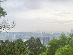 -仙岳公园