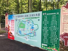 -东平国家森林公园