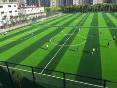 -体汇+名都体育公园足球场