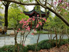 -南汇桃花村
