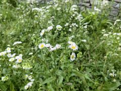 -贵阳市花溪国家城市湿地公园