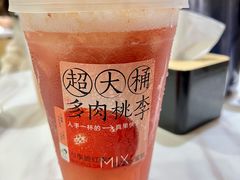 超大桶多肉桃李-喜茶(振华商厦店)