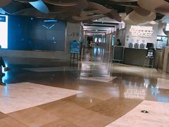 -百美汇影城(LUXE嘉里中心店)