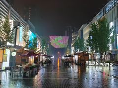 -巴依老爷新疆美食(望京小街店)