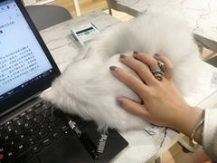 -听TA说宠咖·宠物生活馆(天韵水岸店)