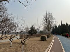 -太阳宫公园