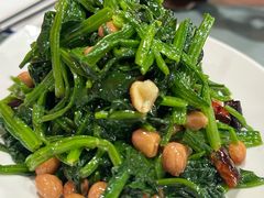 -听涛雅苑百味饺子老家菜馆